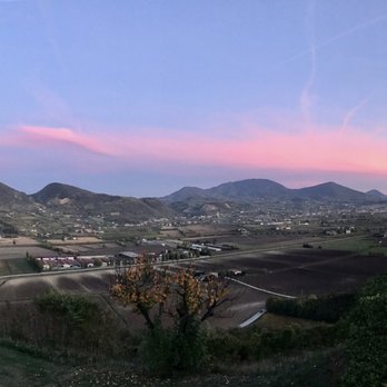 La Dolce Vigna - Wine Tasting Room Near Me - Veggiano, PD La Dolce Vigna - Wine Tasting Room Near Me - Veggiano, PD