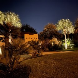 Tip Top Tree Experts