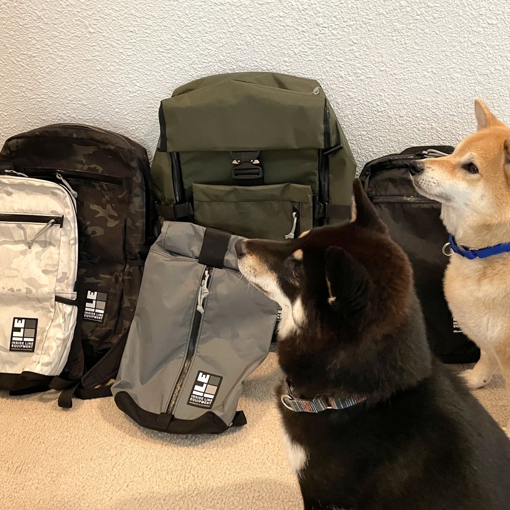 Inside Line Equipment - Both little guys excited thinking that they are going somewhere! - Accessories Near Me - Berkeley, California