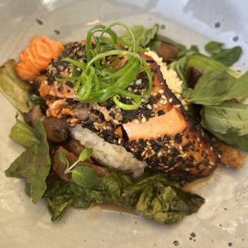 Tommy Bahama - Miso Ora King Salmon - Seafood Near Me - Kihei, Hawaii Tommy Bahama - Miso Ora King Salmon - Seafood Near Me - Kihei, Hawaii