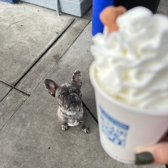 Dutch Bros Coffee - Coffee & Tea Near Me - Oakley, California Dutch Bros Coffee - Coffee & Tea Near Me - Oakley, California
