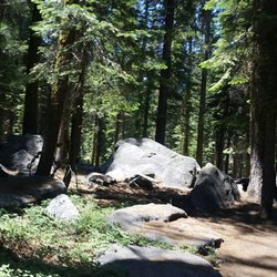 Crane Flat Campground - Lots of giant boulders provide kids easy climbing.