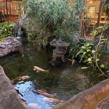 Crazy Buffet - Koi fish fountain - Buffets Near Me - West Palm Beach, Florida
