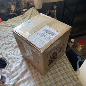 Wet Spot Tropical Fish - Package received featuring my mess and cat - Aquarium Services Near Me - Portland, Oregon