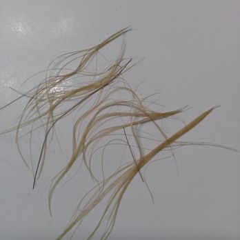 Style 10 Salon - Not happy ! - Hair Salons Near Me - Orem, Utah