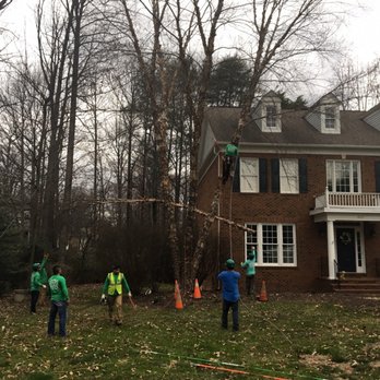 Lopez Tree Services - Tree Services Near Me - Alexandria, Virginia Lopez Tree Services - Tree Services Near Me - Alexandria, Virginia