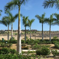Passport Travel - Cabo San Lucas