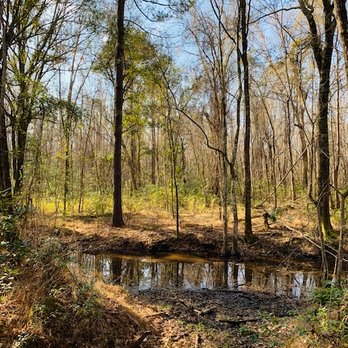 Green Creek Trail - The Creek - Hiking Near Me - Richmond Hill, Georgia Green Creek Trail - The Creek - Hiking Near Me - Richmond Hill, Georgia