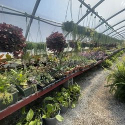 Granny’s Garden Center