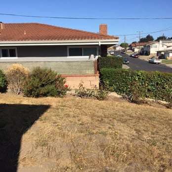 Castillo Landscaping & Tree Services - Before - Landscaping Near Me - Redwood City, California Castillo Landscaping & Tree Services - Before - Landscaping Near Me - Redwood City, California