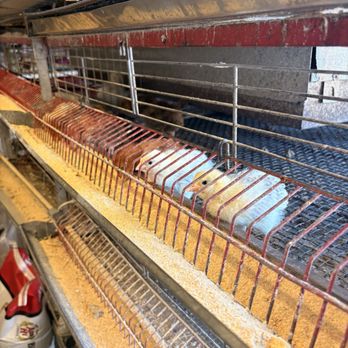 Pomona Feed - Livestock Feed & Supply Near Me - Pomona, California Pomona Feed - Livestock Feed & Supply Near Me - Pomona, California