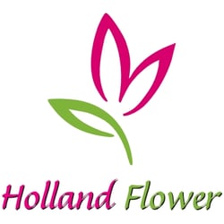 Holland Flower