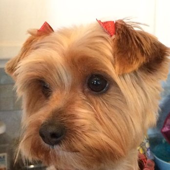 PetSmart - Pet Stores Near Me - Yuba City, California