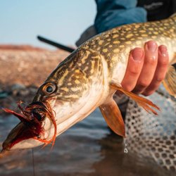 Anglers All
