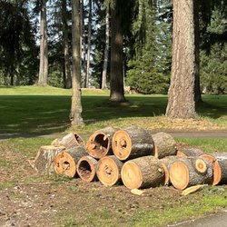 Lynnwood Municipal Golf Course - Course and keep in it clean.