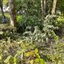 Photo of Nardo's Diamond Cut Lawn Care & Landscaping