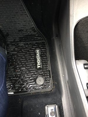 Alexandria Volkswagen by null