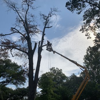 Ford’s Tree Work - Tree Services Near Me