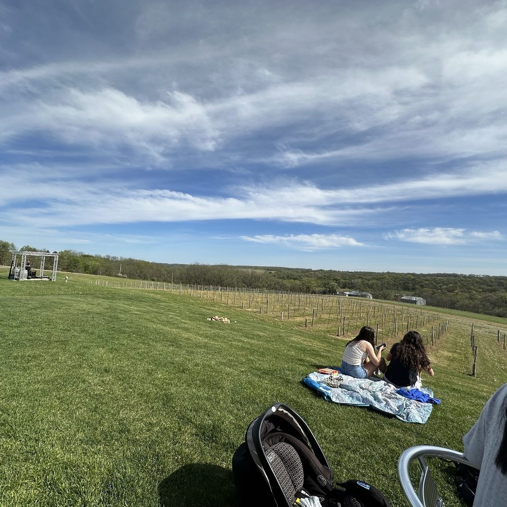 Bailey's Run Vineyard & Winery - Wine Tasting Room Near Me - New Glarus, Wisconsin