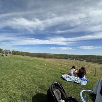 Bailey's Run Vineyard & Winery - Wine Tasting Room Near Me - New Glarus, Wisconsin Bailey's Run Vineyard & Winery - Wine Tasting Room Near Me - New Glarus, Wisconsin