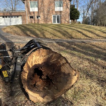 Mills Tree Service - Rotten trees can damage your property - Tree Services Near Me - Rixeyville, Virginia