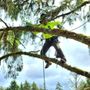 Photo of Dundee Tree Service