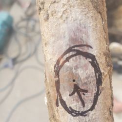 Ben’s Handy Plumbing