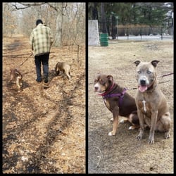 Wanskuck Park - My babies!