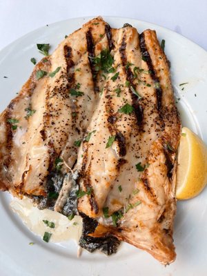 Taverna Tony by null