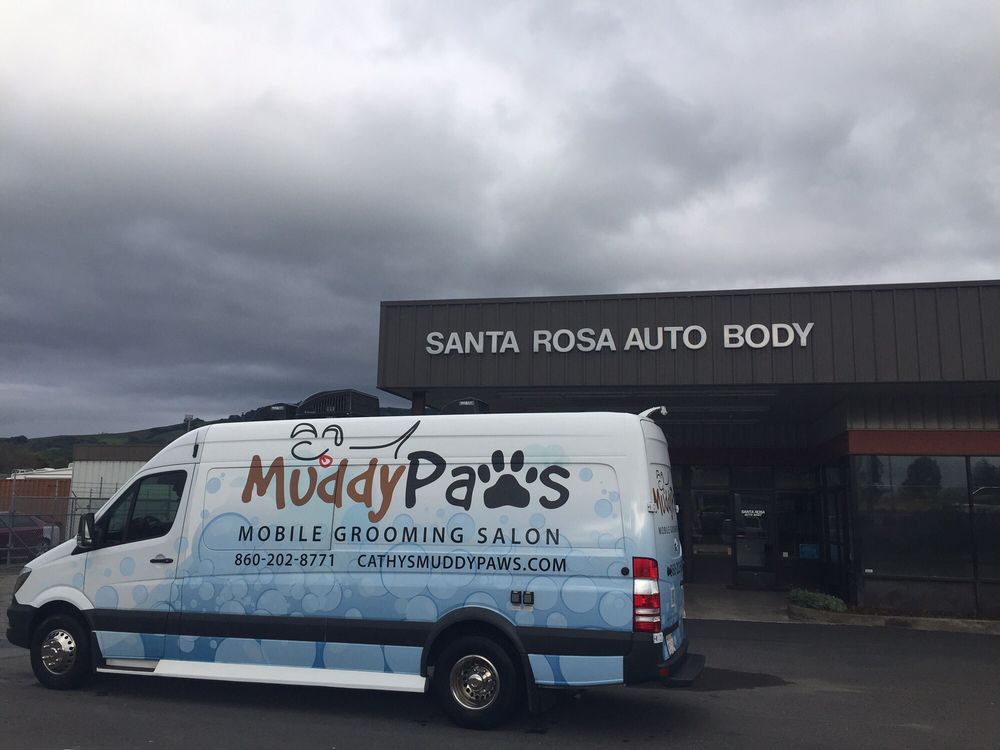 SANTA ROSA AUTO BODY 35 Photos & 85 Reviews 3546 Santa Rosa Ave