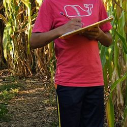 Gearhard Farms Corn Maze - You can borrow a clipboard and try to sketch/guess this year's picture