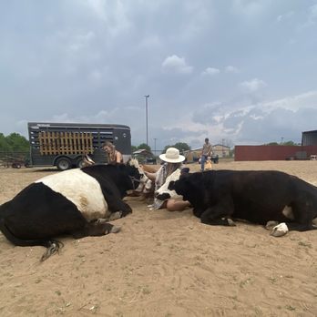 Calvary Farms - Mr. Double Stuff on the right side. - Attraction Farms Near Me - Adkins, Texas