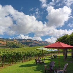Mendocino Wine Tours - Wine Tasting Tours - Local or Long Distance