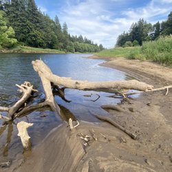 Paradise Point State Park - Lewis River, Paradise Point State Park, WA