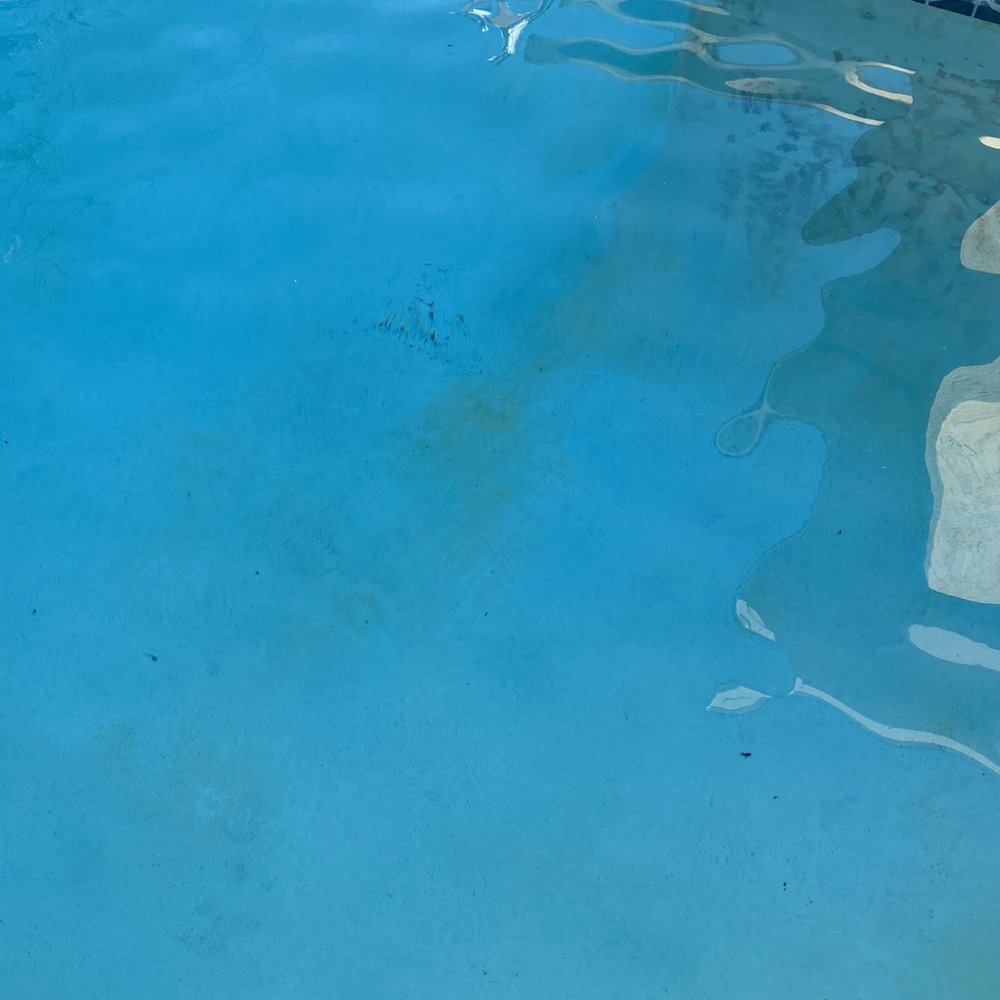 Acapulco Pool Service - Black stuff in pool plus algae. - Pool Cleaners Near Me