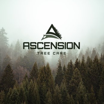 Ascension Tree Care - Tree Services Near Me - Milford, Michigan Ascension Tree Care - Tree Services Near Me - Milford, Michigan