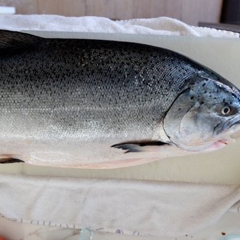 Fishmonger Don - whole salmon! time to go to work. got 8 pounds of fillet out of this one. - Food Delivery Services Near Me Fishmonger Don - whole salmon! time to go to work. got 8 pounds of fillet out of this one. - Food Delivery Services Near Me