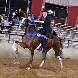 Pepper Hill Farm - Eric winning championship with my horse he'd only shown once.