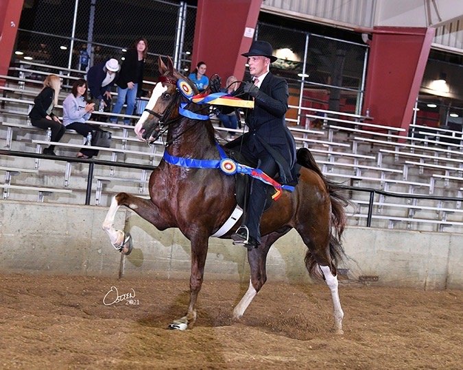 Pepper Hill Farm - equestrian in Oconomowoc, WI
