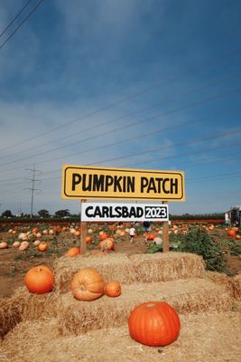 Carlsbad Strawberry Company by null