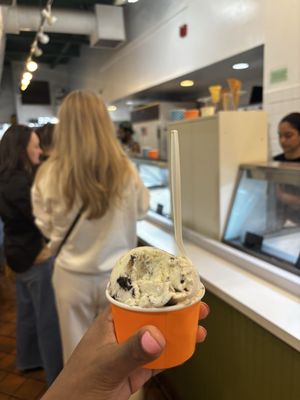 The Creamery by null