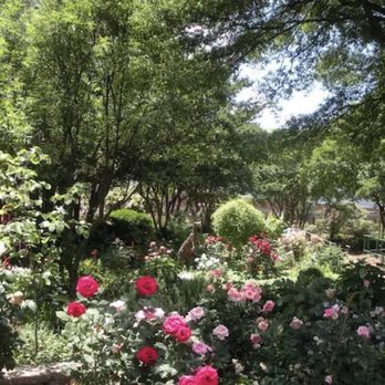 McGill Rose Garden - Botanical Gardens Near Me - Charlotte, North Carolina McGill Rose Garden - Botanical Gardens Near Me - Charlotte, North Carolina