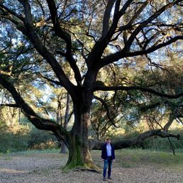 Amazing trees and good birding!