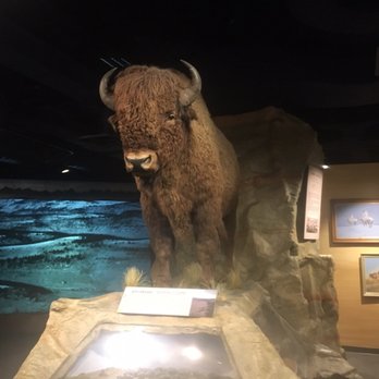 Glenbow Museum - Art Museums Near Me - Calgary, Alberta Glenbow Museum - Art Museums Near Me - Calgary, Alberta