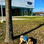 Photo of Andrews Cadillac Mt. Juliet