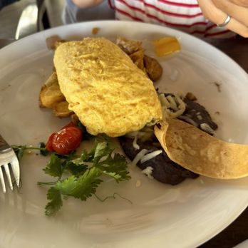 Aleta - Omelette - Seafood Near Me - Cabo San Lucas, BCS