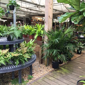 Atlantic Gardening Company - Greenhouse - Nurseries & Gardening Near Me - Raleigh, North Carolina