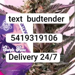 Clear Compassionate Care Weed Delivery