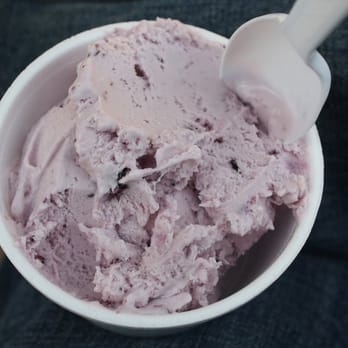 Denali Glacier Scoops & Gifts - Ice Cream & Frozen Yogurt Near Me - Denali, Alaska Denali Glacier Scoops & Gifts - Ice Cream & Frozen Yogurt Near Me - Denali, Alaska