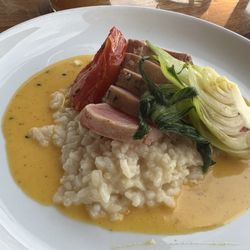 Shore - Ahi tuna mignon